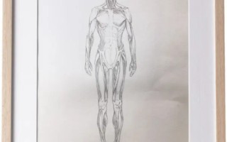 Wacom绘画数位板怎么用(数位板绘画油画)