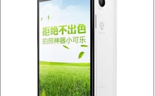 小可乐和大可乐手机哪个好-小可乐手机和大可乐手机区别对比评测