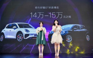 预售价14万元至15万元，欧拉好猫GT价格信息曝光！