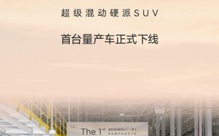 比亚迪方程豹豹5首台量产车下线：将推三款车型 计划年内交付