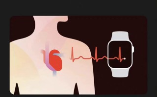 Apple Watch国行版ECG功能上线beta版，终于要来了？
