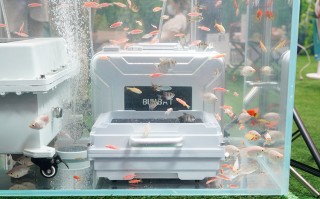 IEAE 2021丨沃尔德展示多款储能电源产品 防水能力展现雄厚技术实力