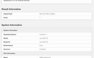 vivo Pad 跑分出炉，确定搭载骁龙870+8GB RAM