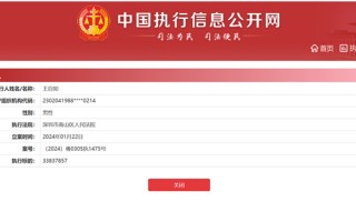"不看工资条"出问题了？王自如被曝强制执行3383万
