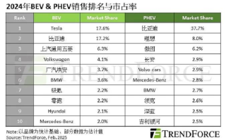 2024年全球新能源销量榜，特斯拉纯电之一，比亚迪插混占比近4成