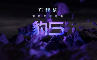 比亚迪方程豹首款车型将命名为"豹 5" 搭载全新DM-o技术