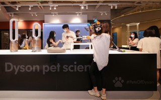 戴森整屋解决方案：深入调研科学养宠新理念 以创新科技提供宠物清洁新选择