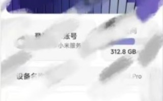 不叫MIOS？ 小米新系统可能命名澎湃OS