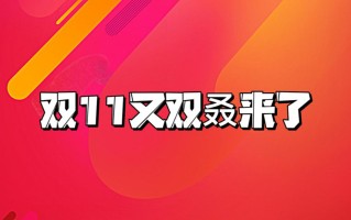 2023 *** 天猫双十一玩法攻略：低价实惠天天享，5大玩法快人一步
