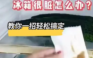冰箱怎么样除异味(如何给冰箱除异味)