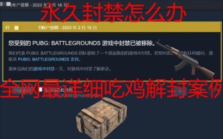 《绝地求生》2023年封禁作弊账号数激增33%