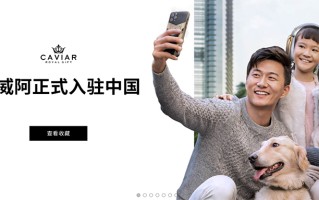 奢侈定制品牌Caviar正式入驻中国 推出售价46万的Mate 40 Pro