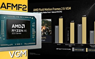 AMD预计将会推出青春版APU：GPU规模被砍，CES 2025发布