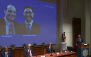 美国两科学家获得2021年诺贝尔生理学或医学奖：发现温度与触觉感应器