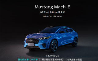 如果说2.3T的Mustang是野驴，那MustangMach-E是不是电马？