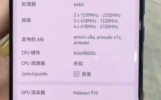 华为麒麟9000L/8000处理器曝光：核心与频率均有缩水