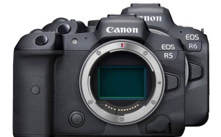佳能EOS R5、R6迎来重要固件更新 获得R3对焦功能
