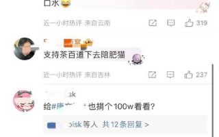 王者荣耀代练胖猫事件的一些个人反思