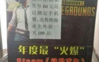 观察：绝地求生Wg100元一天，辅助作者海景房到手