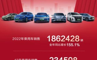 比亚迪2022年累计销量达186.35万辆，同比大涨208.64%