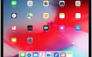 苹果新款iPad Pro或将4月发布，A14X处理器，配备雷电接口
