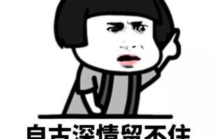 直降60000元！传统品牌电动车价格崩了！
