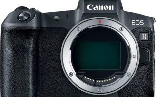 佳能开发2100万像素全局快门CMOS 或用于旗舰微单EOS R1