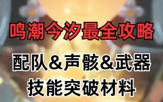 《鳴潮》武器选择攻略：详细解析与推荐