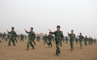 擒敌拳怎么打-捕俘拳和擒敌拳哪个好用-