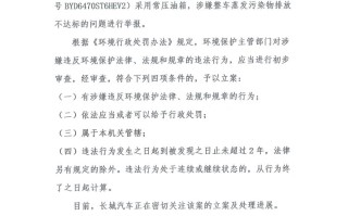 遭长城汽车举报部分车型"排污不达标"，比亚迪回应：不当竞争，报告无效