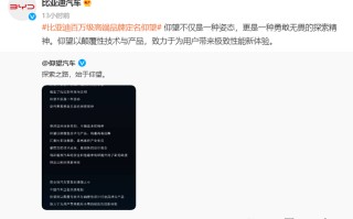 正式官宣：比亚迪旗下高端汽车品牌定名"仰望"